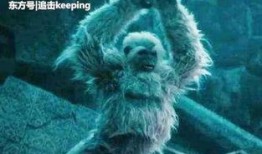 尸王千王在线观看,生死对决，在线惊悚盛宴