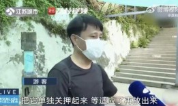 网红吃瓜邱奇迹,网红吃瓜界的风云人物