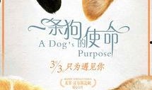 娱乐狗子10月爆料新闻,10月娱乐圈大事件盘点