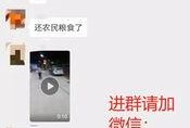 今日关注爆料视频最新,最新爆料视频深度解析