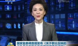 记者爆料李文亮视频播放