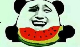 六点准时吃瓜视频下载免费