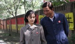 金婚风雨情全集在线观看,重温经典爱情故事，共度甜蜜金婚时光