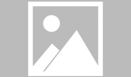 娱乐吃瓜酱胆小的考拉,揭秘娱乐圈那些鲜为人知的幕后故事