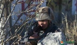 特战一营全集在线观看