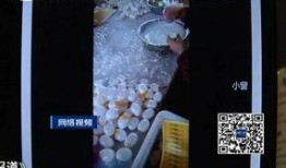 爆料假鸡蛋视频,视频曝光惊人真相