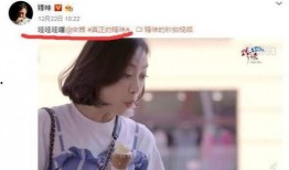 宋茜爆料谢庭锋视频,揭秘背后惊人内幕