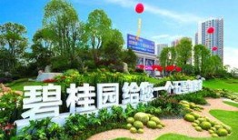 长垣碧桂园爆料案件最新,揭秘背后真相与争议焦点