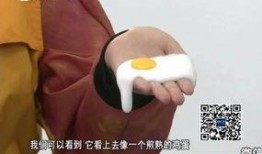 爆料假鸡蛋视频,视频曝光惊人真相