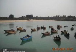 海春潮在线观看