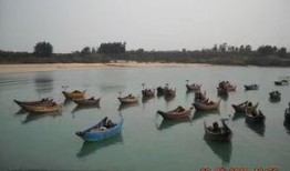 海春潮在线观看