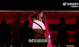 李玟事件爆料视频,揭秘娱乐圈惊人内幕