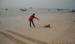 海春潮在线观看