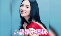娱乐明星吃瓜爆料小说,明星吃瓜爆料，揭秘幕后真相