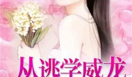 娱乐吃瓜推文小说推荐,跟随小说，解锁明星背后的秘密