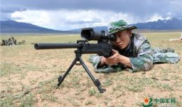 特战一营全集在线观看