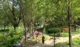 乌拉公园爆料视频,一场惊心动魄的冒险之旅