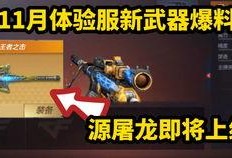 cf手游体验服最新爆料m200,CF手游体验服爆料，性能与颜值并存