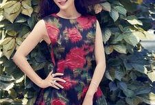 陈数最新爆料新闻报道,揭秘娱乐圈不为人知的幕后真相