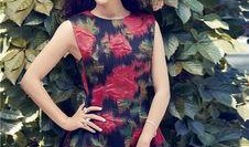 陈数最新爆料新闻报道,揭秘娱乐圈不为人知的幕后真相