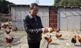 农家院子大妈爆料视频,农家院子里的那些事儿