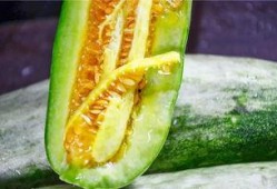 网红韩婧格吃瓜视频,揭秘娱乐圈幕后真相