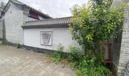 农家院子大妈爆料视频,农家院子里的那些事儿