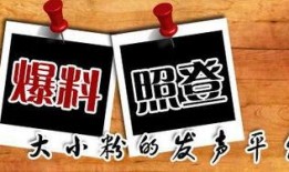 石家庄新闻爆料平台,聚焦城市脉搏，解码民生热点