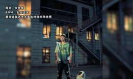 田一名爆料视频,揭秘娱乐圈不为人知的秘密