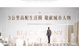 枫丹内部消息爆料最新,最新动态与未来展望