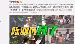 乔欣家世爆料视频播放大全,视频播放大全背后的豪门故事