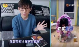 维嘉家世爆料视频,家族背景曝光，揭秘明星背后的故事