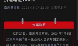 京东员工最新爆料,揭秘内部运营与员工心声
