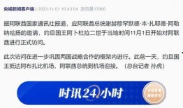 阿联酋新闻爆料电话查询,追踪真相的神秘通道