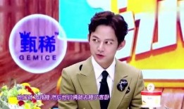 维嘉家世爆料视频,家族背景曝光，揭秘明星背后的故事