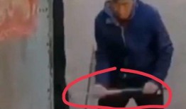 如意爆料铁锤视频,如意爆料背后的真相与内幕