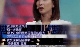 张晓峰爆料英语视频大全,揭秘英语学习新视角
