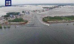 岳阳市最新爆料,揭秘城市变迁背后的故事